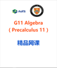 Picture of G11AlgebraA 16 lessons