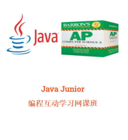 Picture of Java Junior SUN 10:30