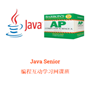 Picture of 202209 Java Senior SAT 18:30 PDT